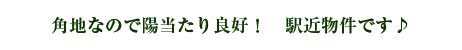 角地なので陽当たり良好! 駅近物件です♪ 角地なので陽当たり良好! 駅近物件です♪